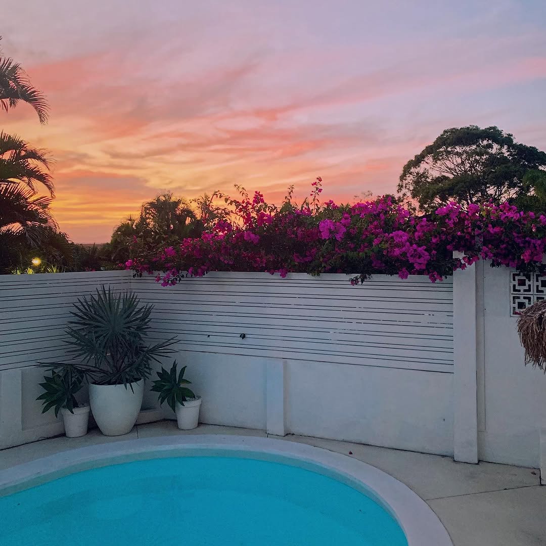 Bougainvillea over the white fence at sunset